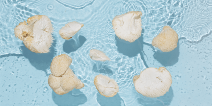 ; "Hericium: a mushroom with a tradition and a future"
